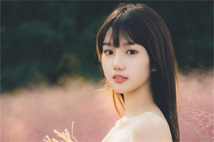 上海新茶工作室微信：Analysis of the Relationship between Shanghai's Fiscal Budget and Scientific Research Funds